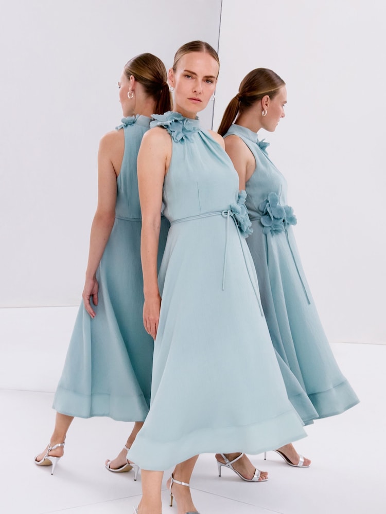 Phase Eight Blue Senita floral Detail Midi Dress - Image 6 of 6