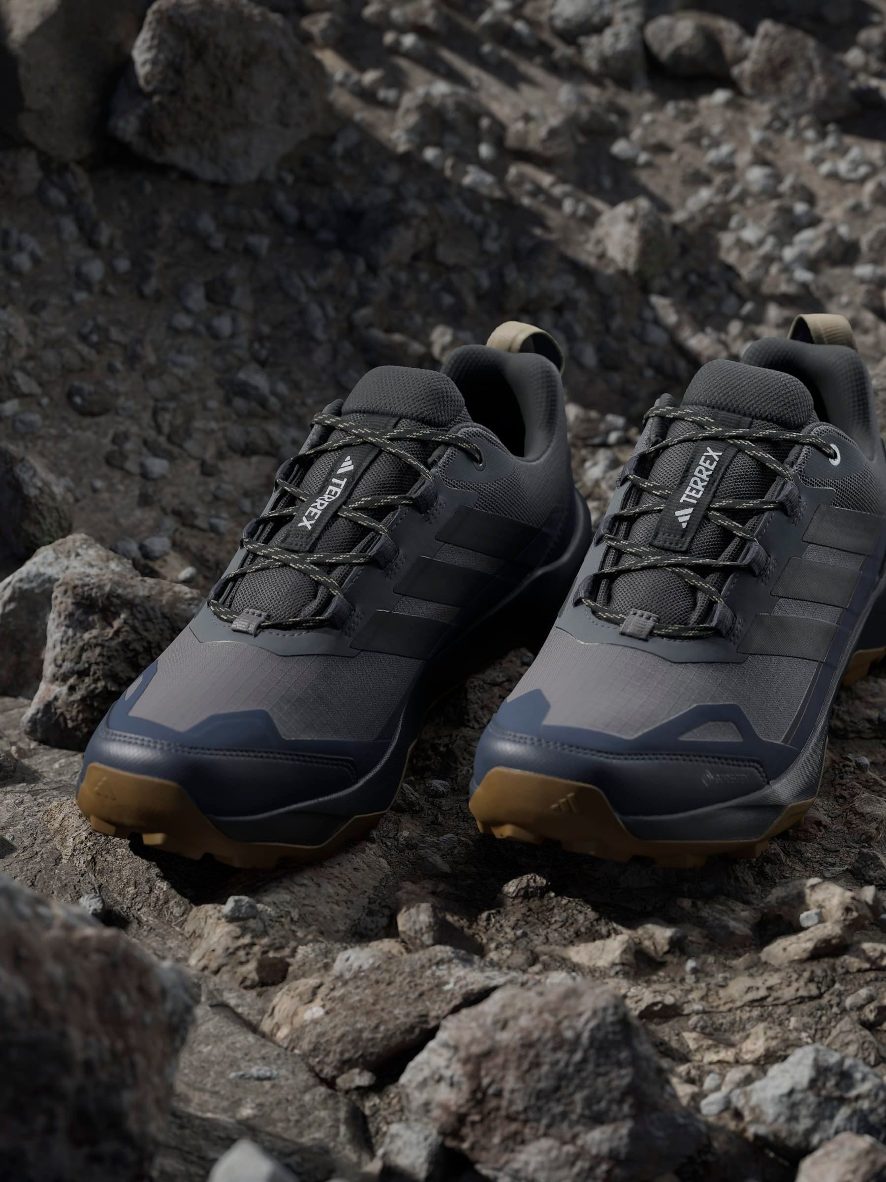 Next：日本 グレー - adidas Terrex Skychaser Ax5 Gore-Tex