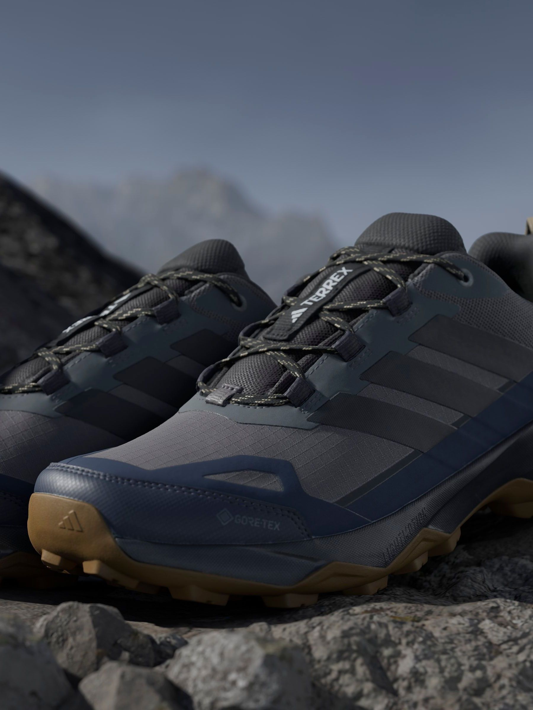 Buy 灰色- adidas Terrex Skychaser AX5 GORE-TEX 登山運動鞋from Next
