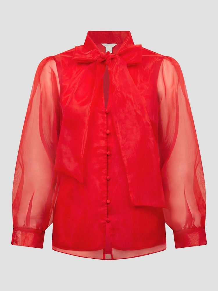 Блузка из органзы Monsoon Rosa - Изображение 5 из 5