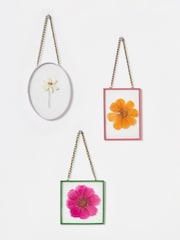 Oliver Bonas Set of 3 Gold Dried Flowers Print Wall Hanging - Image 1 of 4