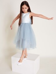 Monsoon Blue Olivia Organza Bridesmaid Dress - Image 1 of 1