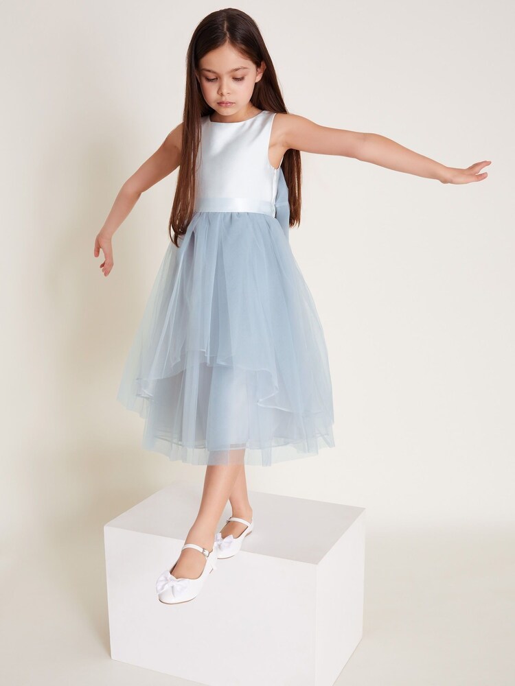 Monsoon Blue Olivia Organza Bridesmaid Dress - Image 1 of 1