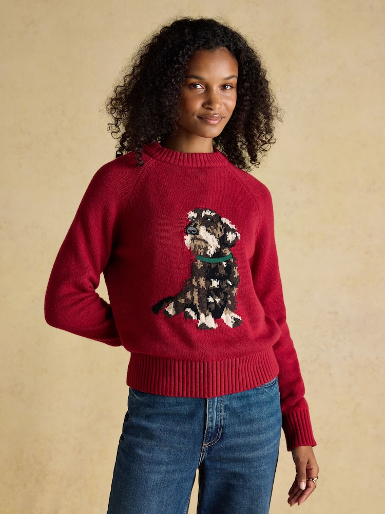 Joules Intarsia Dachshund Dog Cotton Blend Regular Fit Jumper - Image 1 of 8 Joules Intarsia Dachshund Dog Cotton Blend Regular Fit Jumper - Image 1 of 8