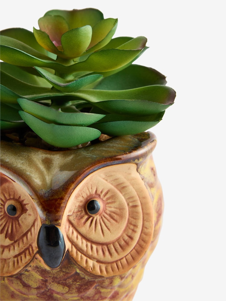 Green Artificial Succulent in Ceramic Owl Pot - Image 4 of 4