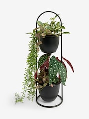 Natural Loxley Artificial Dried Seed Pod Arrangement - Image 1 of 1