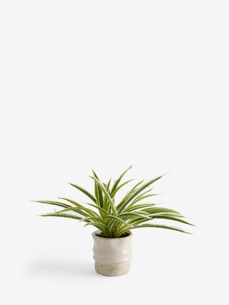 Green Artificial Spider Plant In Ceramic Pot - Image 1 of 2 Green Artificial Spider Plant In Ceramic Pot - Image 1 of 2