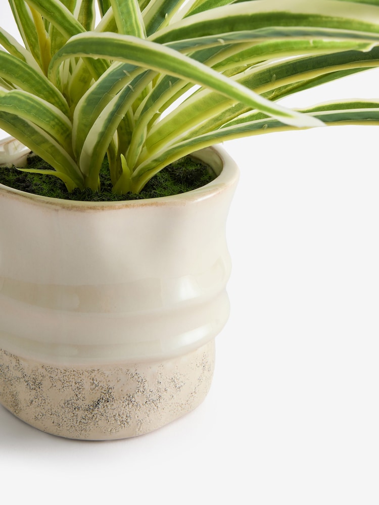 Green Artificial Spider Plant In Ceramic Pot - Image 2 of 2 Green Artificial Spider Plant In Ceramic Pot - Image 2 of 2