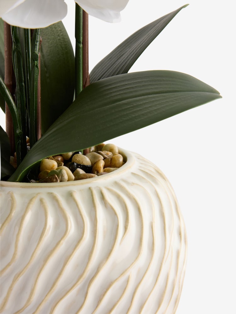 White Artificial Orchid in Fairford Vase - Image 5 of 5
