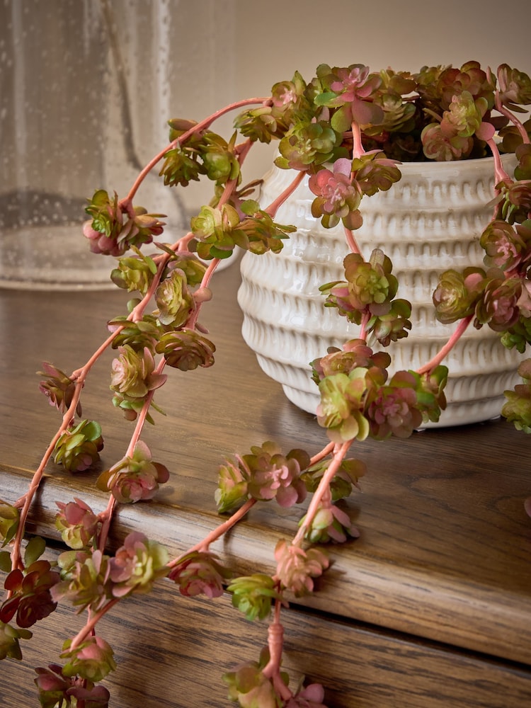 Purple Artificial Trailing Succulent in Ceramic Pot - Image 2 of 4