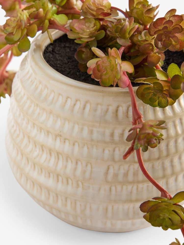 Purple Artificial Trailing Succulent in Ceramic Pot - Image 4 of 4