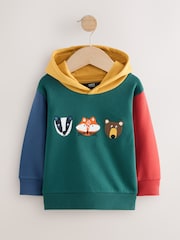 Colour block verde - Long Sleeve Applique Hoodie (3mths-7yrs) - Imagen 1 de 4