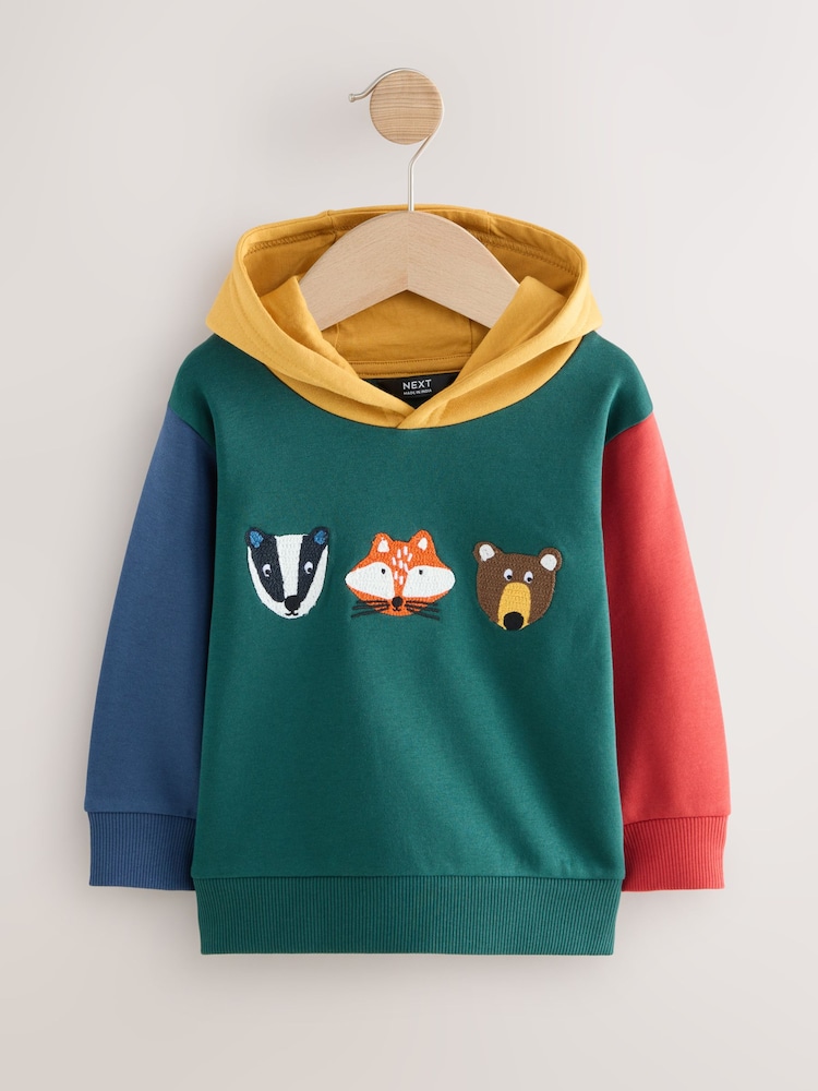 Colour block verde - Long Sleeve Applique Hoodie (3mths-7yrs) - Imagen 1 de 4