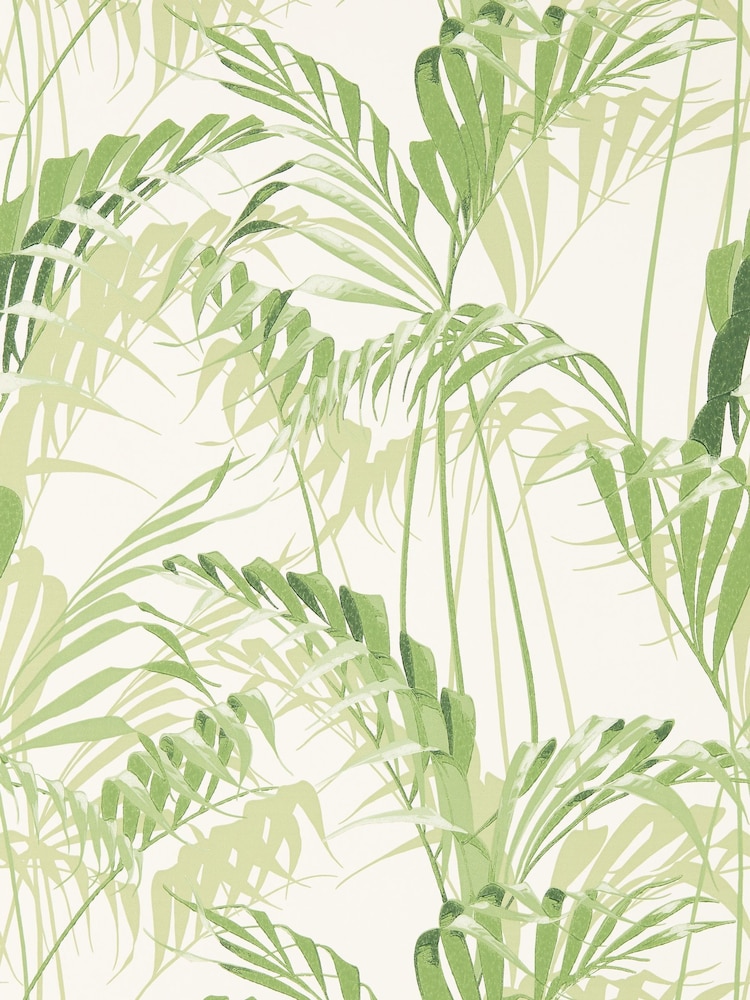 Sanderson Botanical Green Palm House Wallpaper Sample - Image 1 of 1