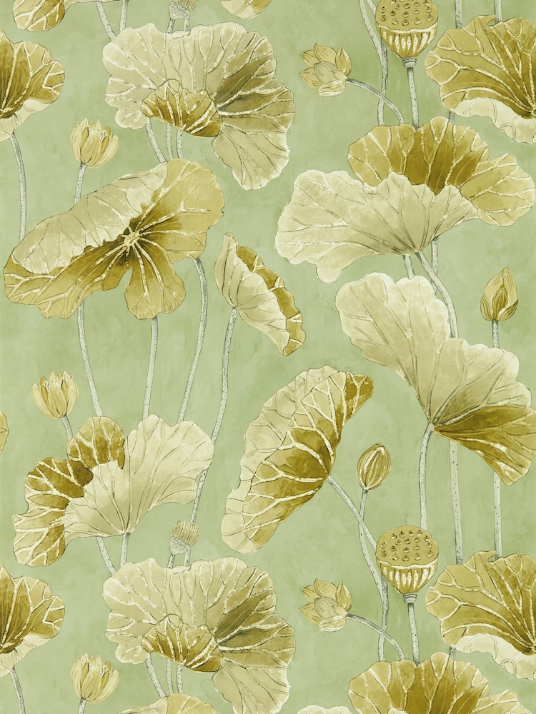 Sanderson Oriental Green Olive Lotus Leaf Wallpaper Sample - Image 1 of 1
