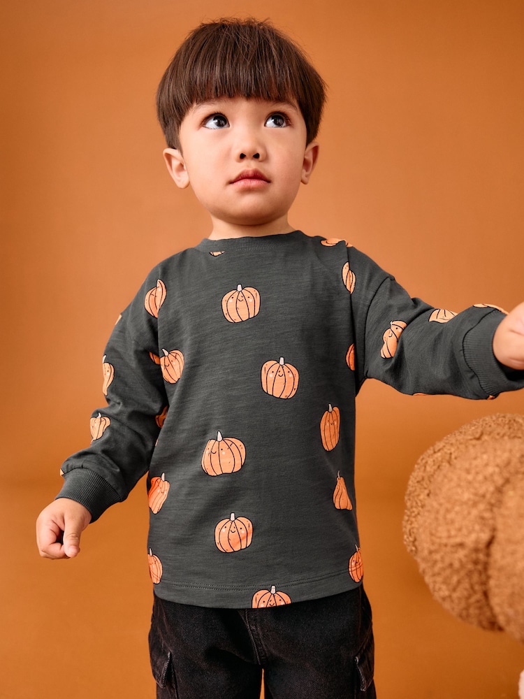 Grey/Orange Pumpkin Halloween Long Sleeve Graphic Print T-Shirt (3mths-7yrs) - Image 1 of 7