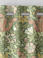 William Morris At Home Apple Green Compton Velvet Made to Measure Curtains - Image 7 of 9