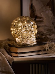 Silver Skull Battery Operated Feature Light - Image 1 of 4