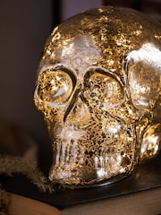 Silver Skull Battery Operated Feature Light - Image 2 of 4