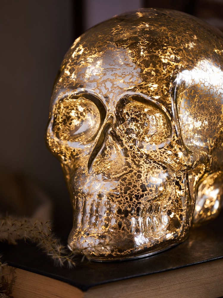 Silver Skull Battery Operated Feature Light - Image 2 of 4