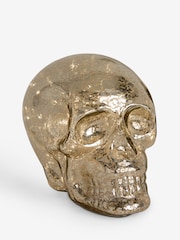 Silver Skull Battery Operated Feature Light - Image 3 of 4
