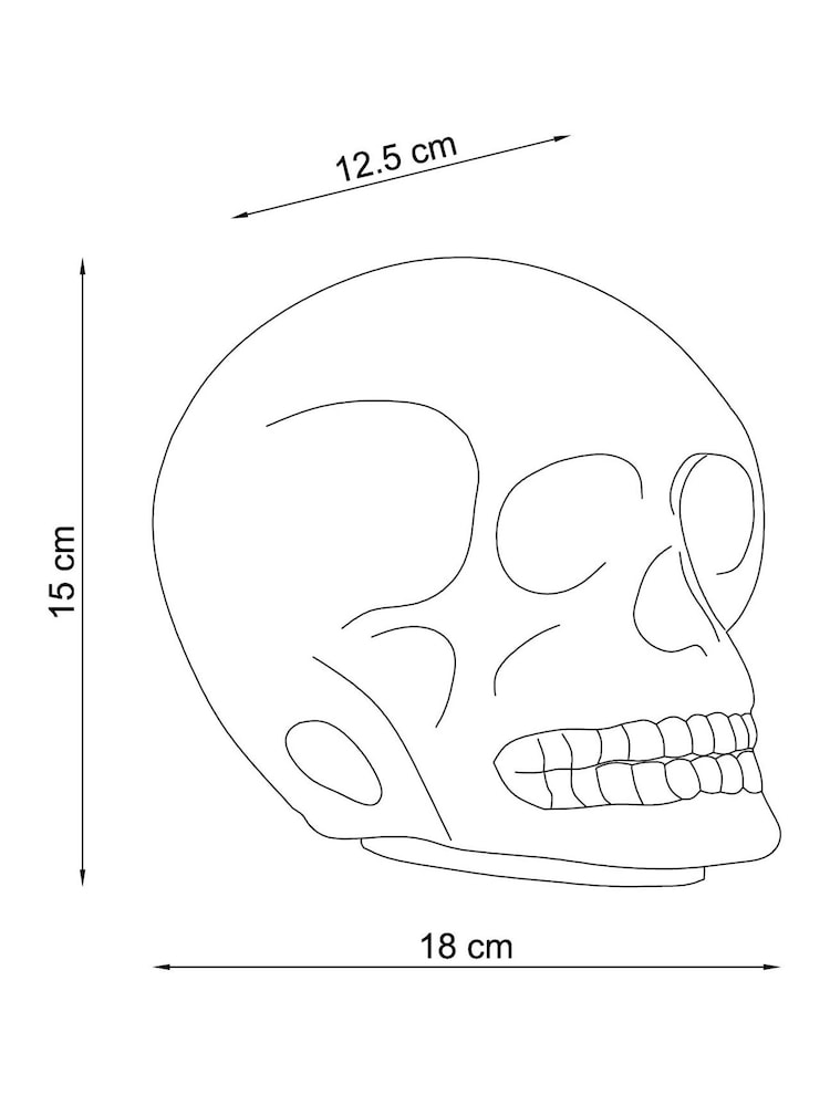 Silver Skull Battery Operated Feature Light - Image 4 of 4