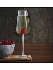 Luigi Bormioli Grey Optica Sparkling Wine Glasses  Set of 6 - Image 4 of 4