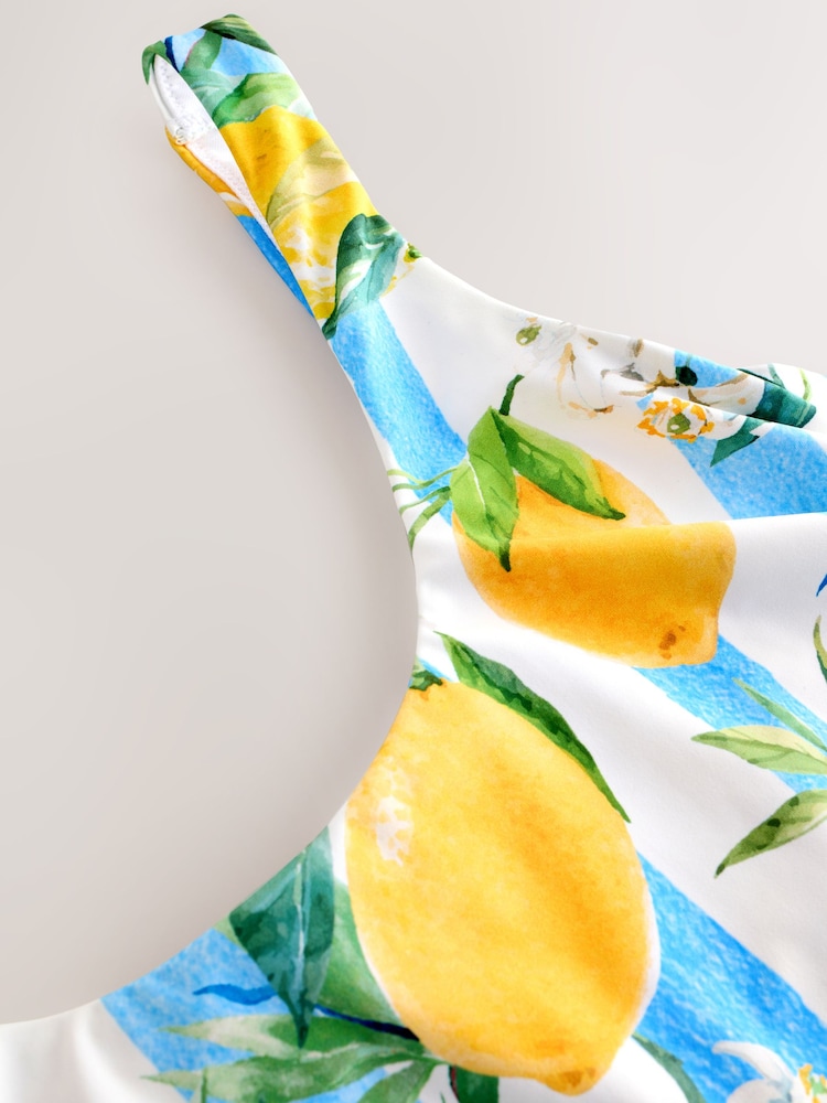 White/Blue Stripe Lemon Print Dd+ Wired Scoop Neck Tummy Control Swimsuit - Image 10 of 10