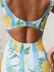 White/Blue Stripe Lemon Print Dd+ Wired Scoop Neck Tummy Control Swimsuit - Image 7 of 10