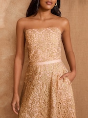Love & Roses Lace Bandeau Midi Dress - Imagen 2 de 4