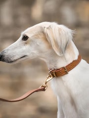 Lords and Labradors Tan Leather Dog Lead - Image 4 of 6
