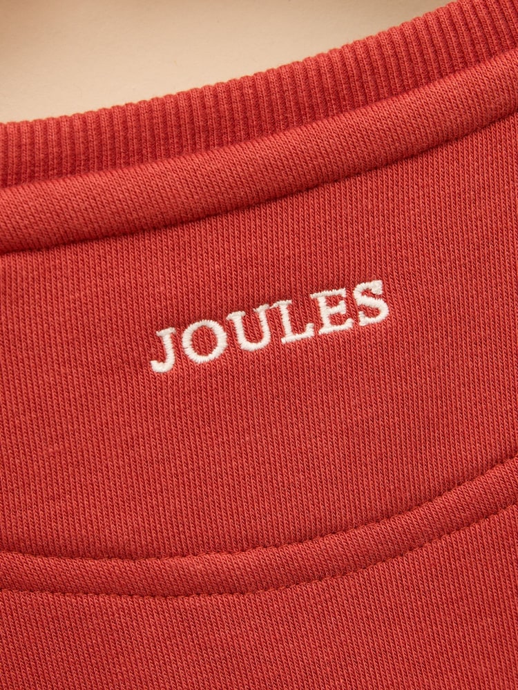 Rostbraun/Rot - Joules Kids' Sundaze Crew Neck Sweatshirt - Bild 5 von 5