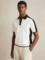 Reiss Optic White/Green Pentel Colour-Block Knit Polo Shirt - Image 1 of 6