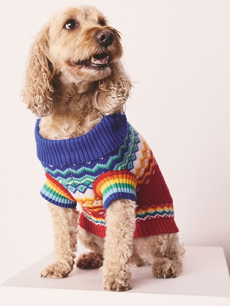 Little Bird by Jools Oliver Multi Knitted Pets Jumper - Image 1 of 7 Little Bird by Jools Oliver Multi Knitted Pets Jumper - Image 1 of 7