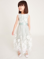 Monsoon Green Alicia Embroidered Lace Maxi Dress - Image 1 of 4
