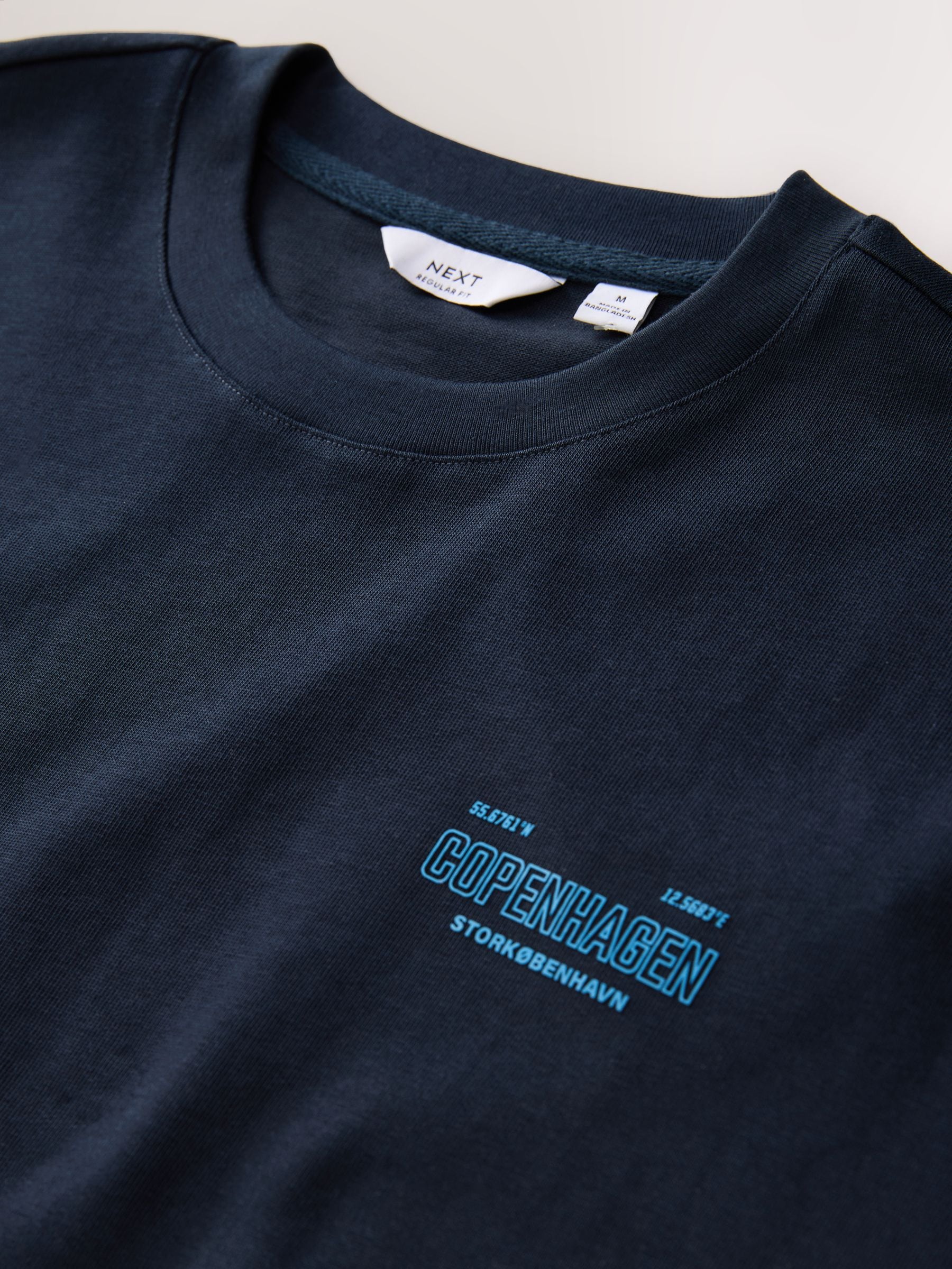 Buy Navy Copenhagen Regular Fit Graphic Print Heavy Weight T-Shirt