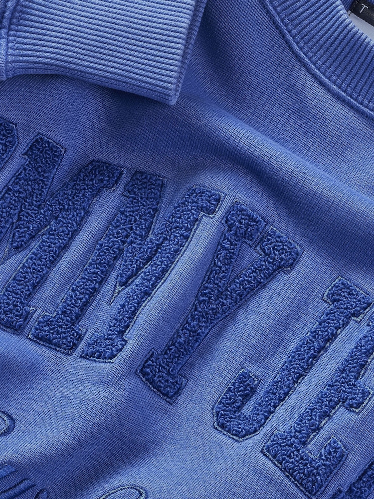 Tommy Jeans Blue Vintage Varsity 100% Cotton Sweatshirt - Image 3 of 3