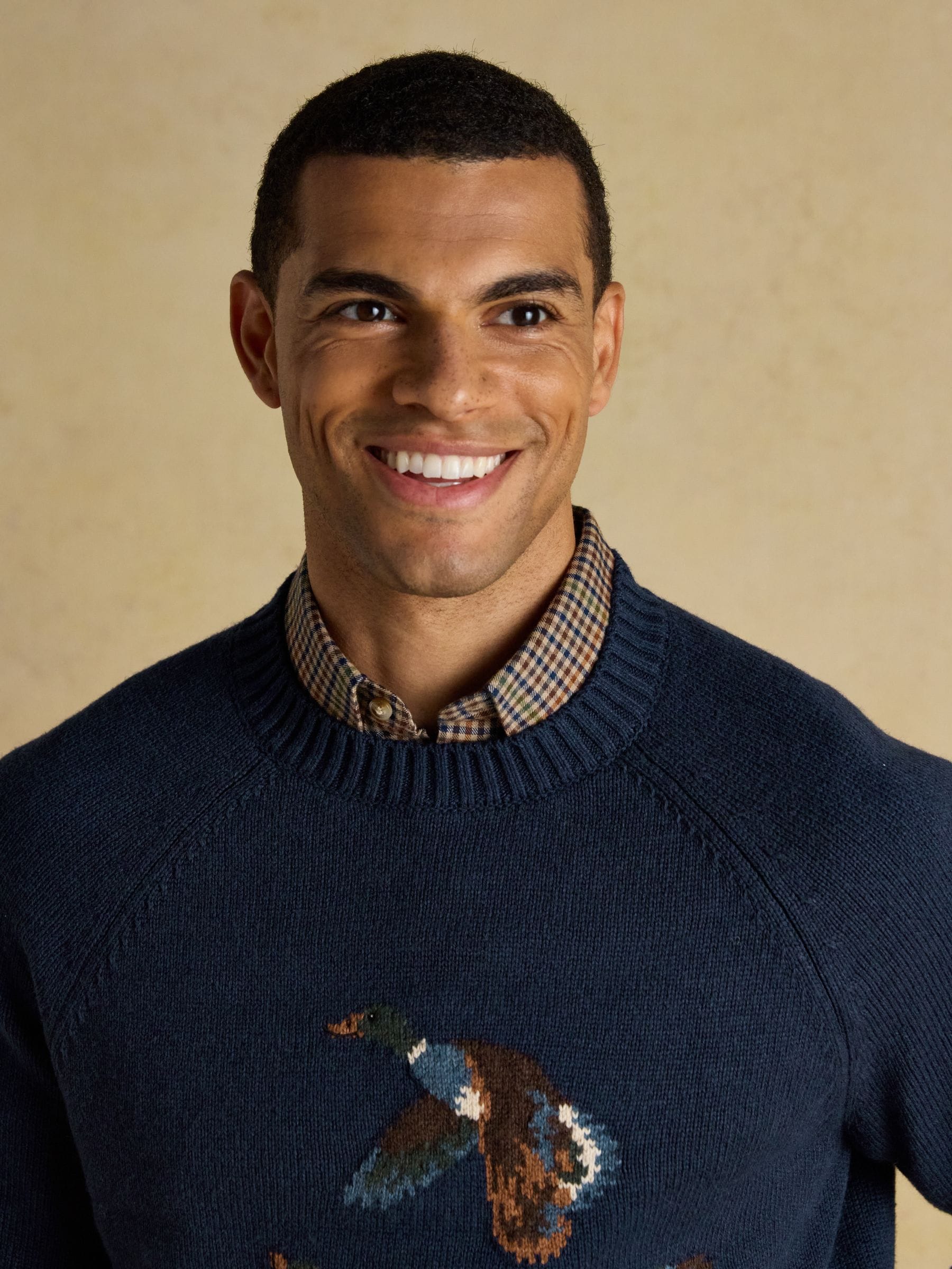 Buy Joules Duck Intarsia Blue Crew Neck Jumper from Next USA