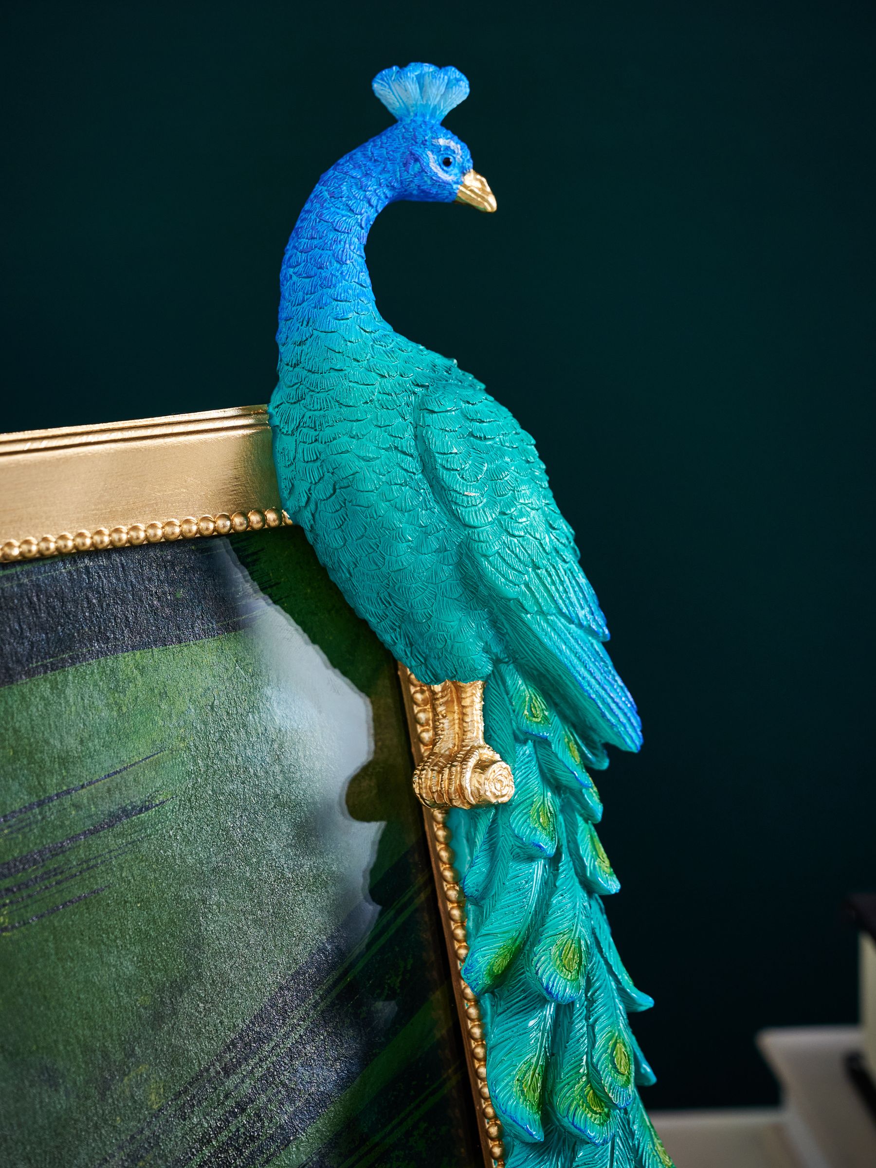 peacock様 Peacock zx