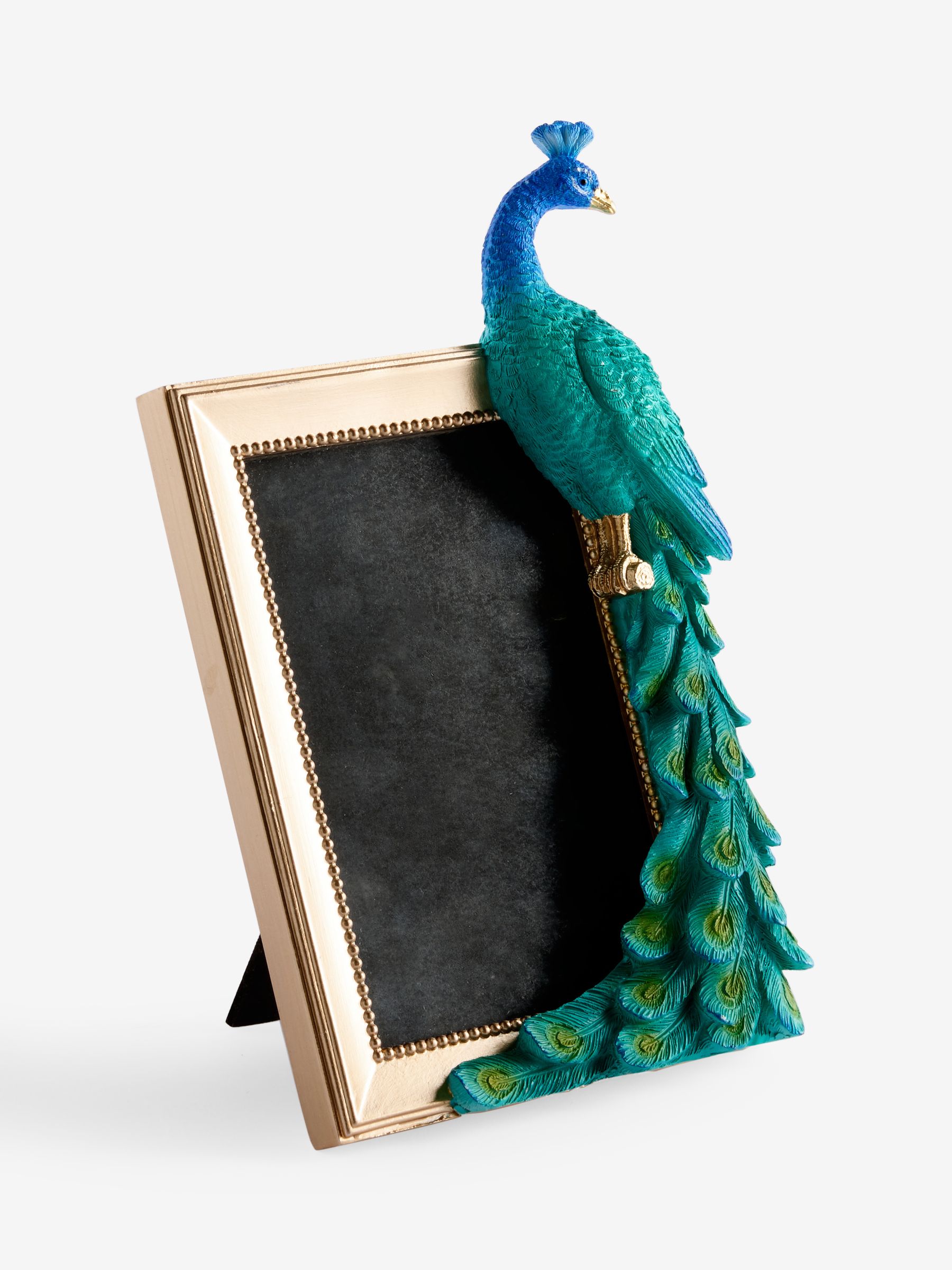 peacock様 Peacock zx