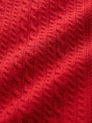 Red Cable Knit Polo Shirt (3mths-7yrs) - Image 4 of 4