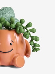 Hair Wrap Artificial Plant Pumpkin Spa Ornament - Image 2 of 2