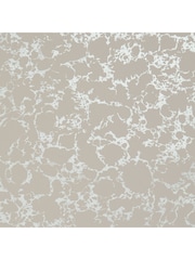 Clarke & Clarke Blush Gilver Botanica Pietra Wallpaper Sample - Image 1 of 1