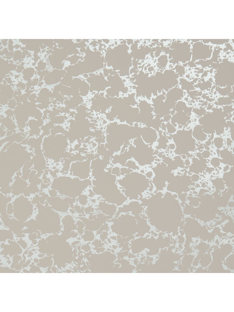 Clarke & Clarke Blush Gilver Botanica Pietra Wallpaper Sample - Image 1 of 1