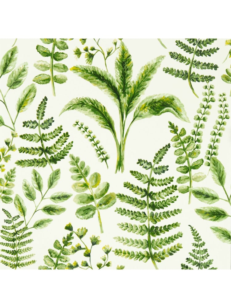 Clarke & Clarke Forest Marianne Bracken Wallpaper Sample - Image 1 of 1