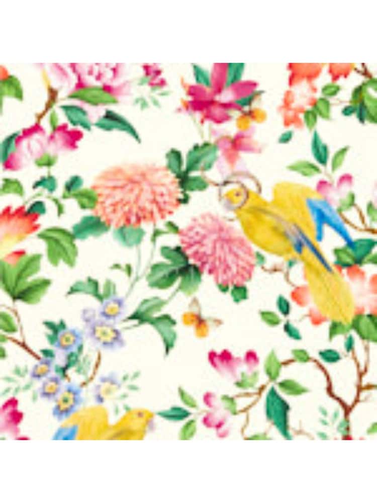 Clarke & Clarke Ivory Botanical Wonders Golden Parrot Wallpaper Sample - Image 1 of 1
