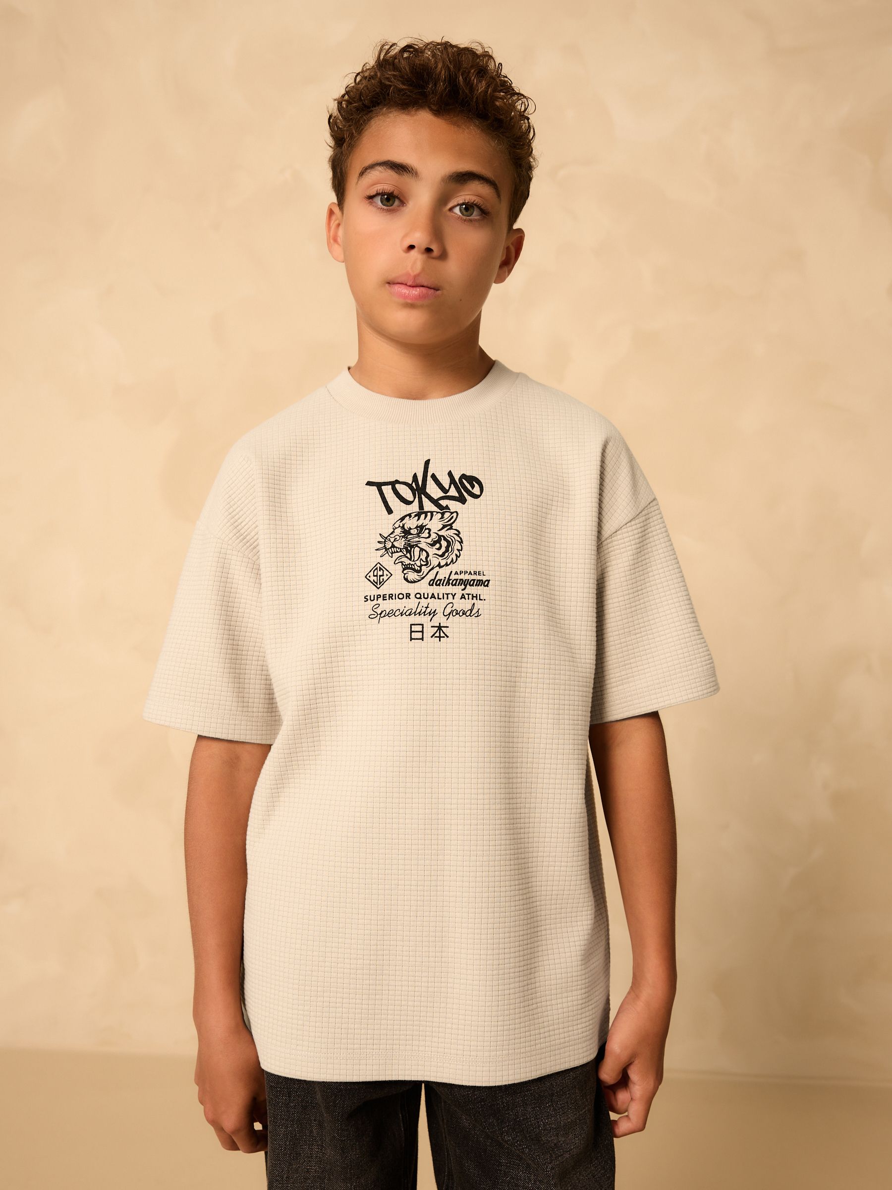 Buy Stone Tiger Graphic Textured Short Sleeve T-Shirt (3-16yrs
