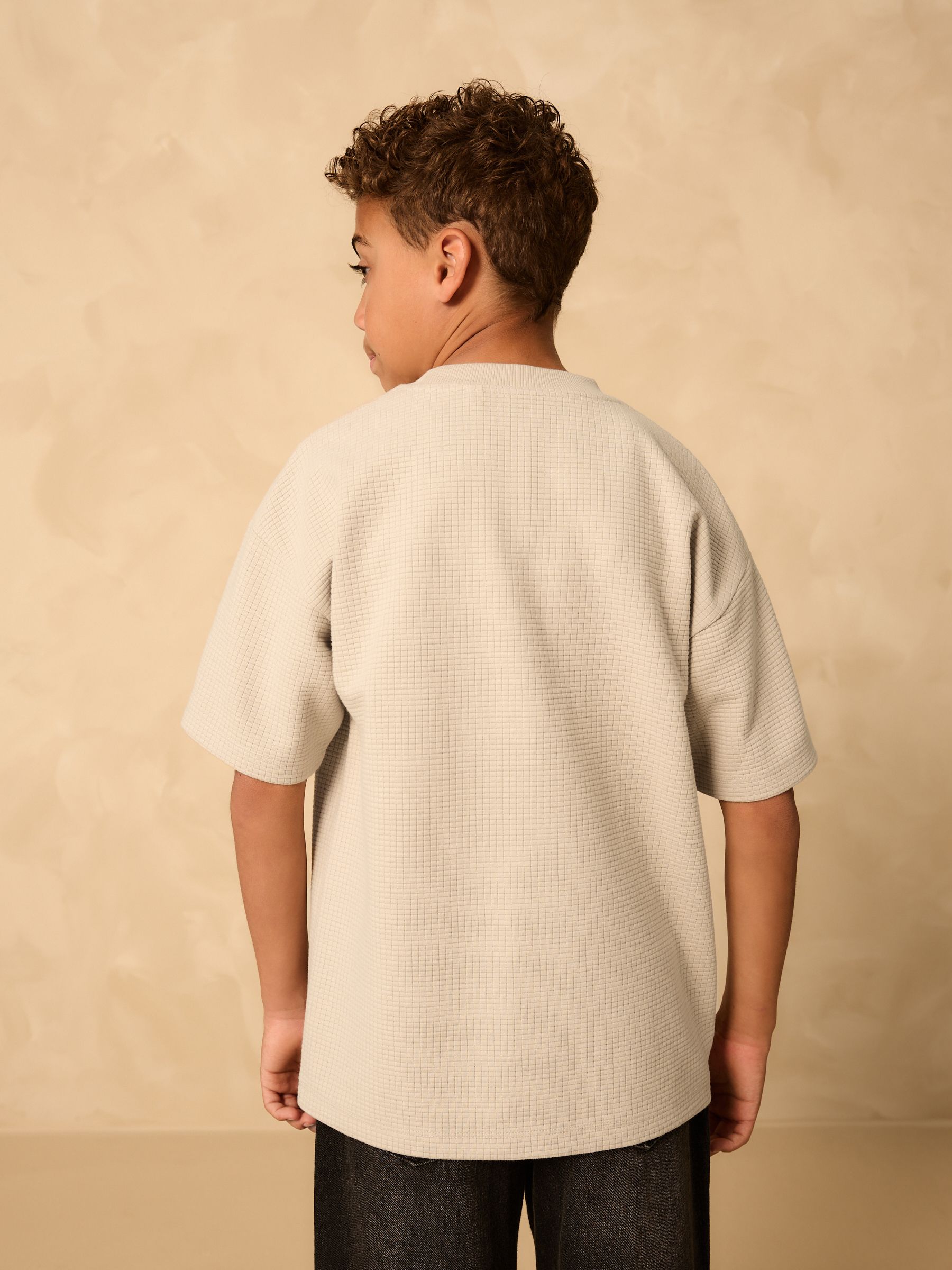 Buy Stone Tiger Graphic Textured Short Sleeve T-Shirt (3-16yrs