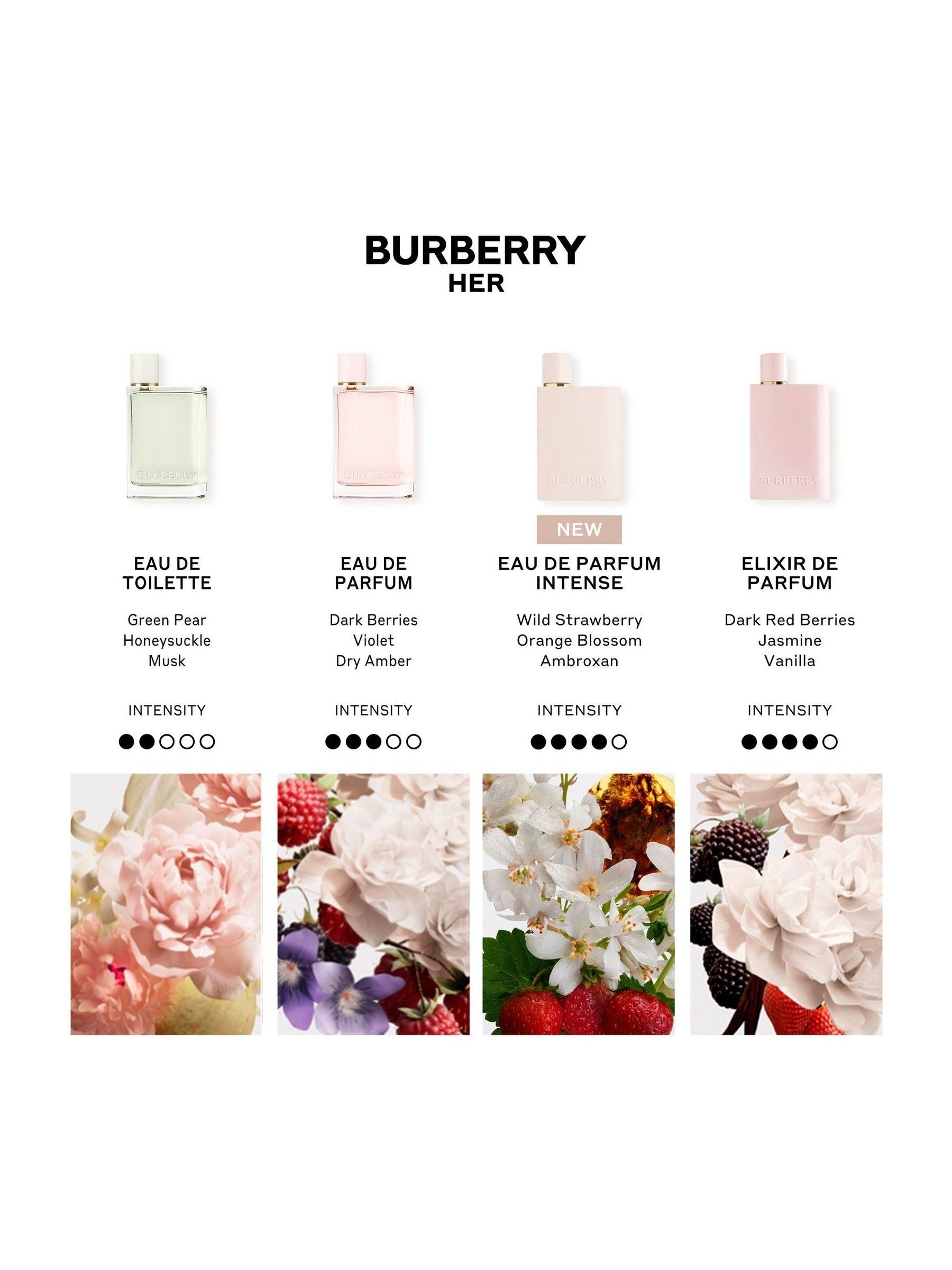 Buy Burberry Her Intense Eau de Parfum 100ml from the Next UK