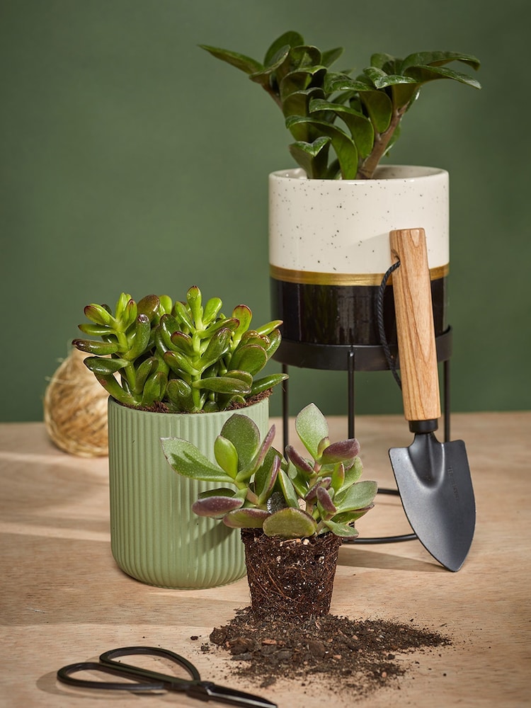 Portico Designs Grey Urban Gardener Bud Vases & Plant Pot Gift Set - Image 6 of 6